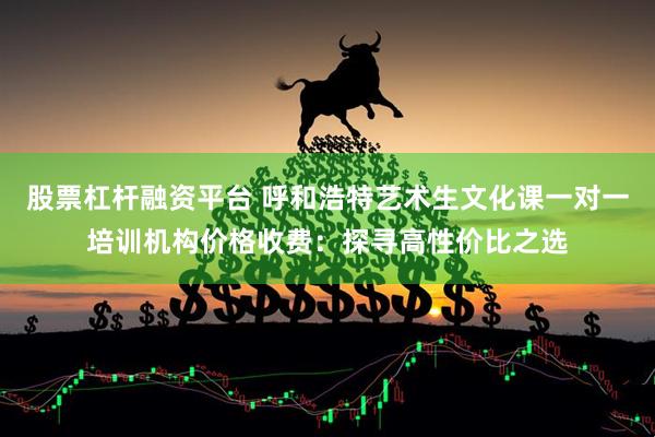 股票杠杆融资平台 呼和浩特艺术生文化课一对一培训机构价格收费：探寻高性价比之选