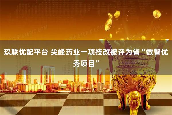 玖联优配平台 尖峰药业一项技改被评为省“数智优秀项目”